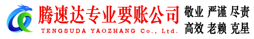 龙子湖收账公司